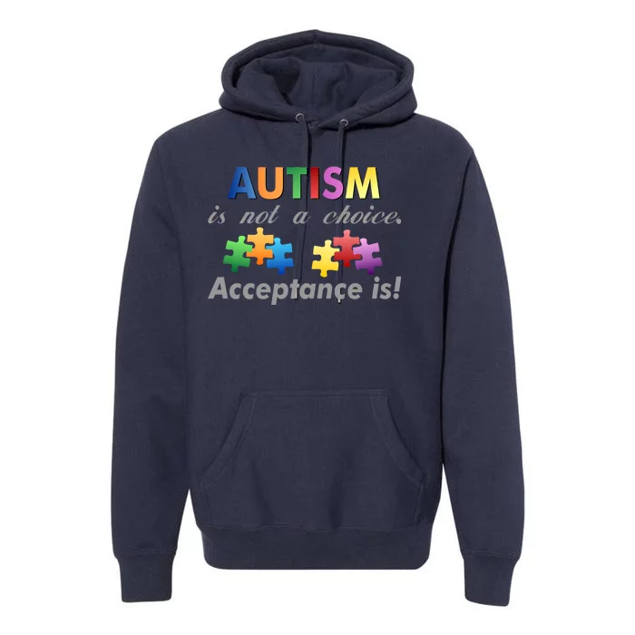 Autism I Not A Choice Acceptance Is Premium Hoodie