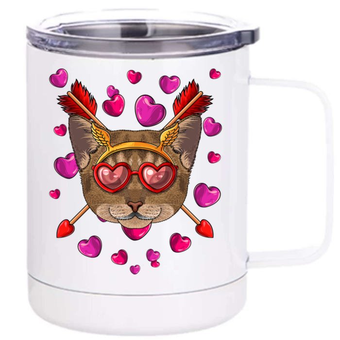 Abyssinian Valentines Day Cat Face Heart Glass Love Arrows Gift Front & Back 12oz Stainless Steel Tumbler Cup