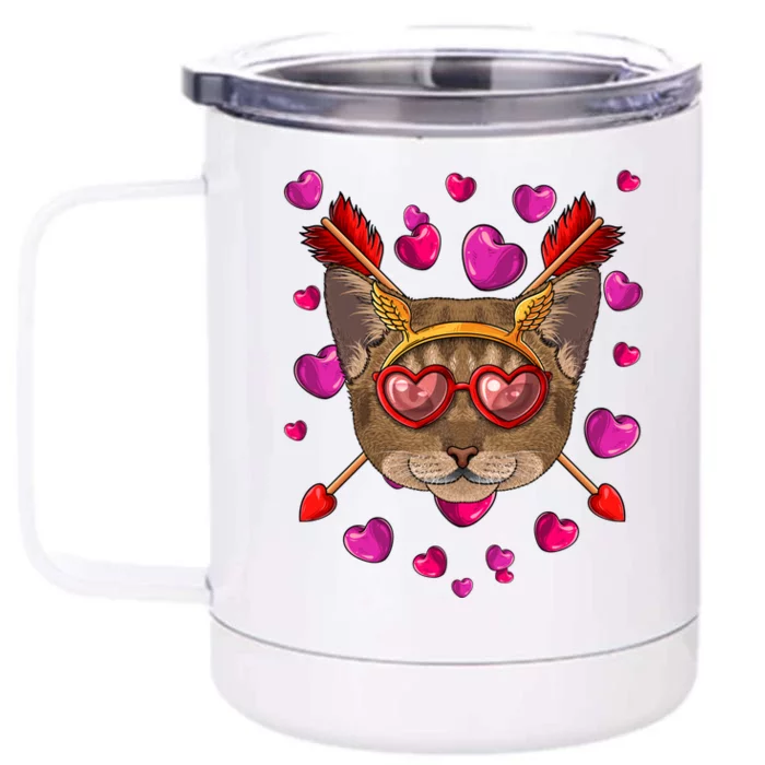 Abyssinian Valentines Day Cat Face Heart Glass Love Arrows Gift Front & Back 12oz Stainless Steel Tumbler Cup