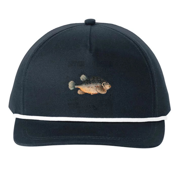 Aesthetic Vintage Fish Illustration For Unique Fishing Dad Gift Snapback Five-Panel Rope Hat