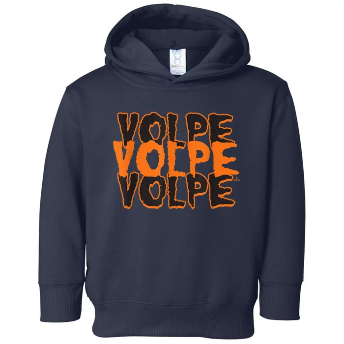 Anthony Volpe New York Baseball Halloween Name MLBPA Toddler Hoodie