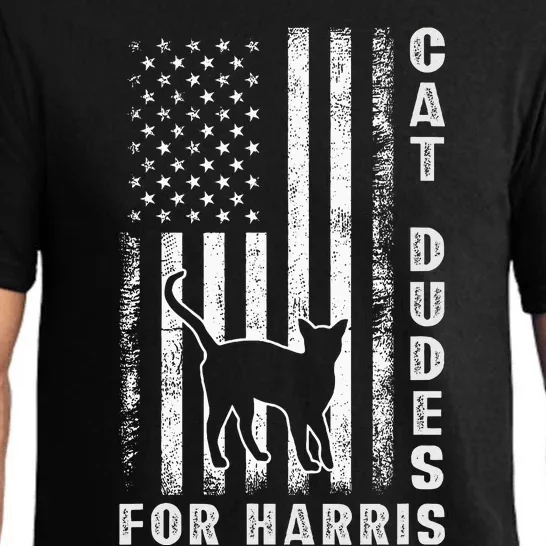 America Vote Usa Flag Cat Dudes For Kamala Harris Vote 2024 Pajama Set