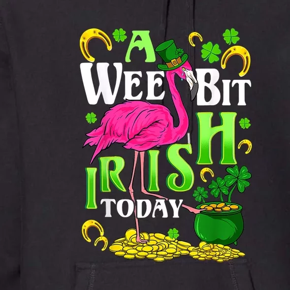 A Wee Bit Irish Today Flamingo Leprechaun St Patricks Day Premium Hoodie