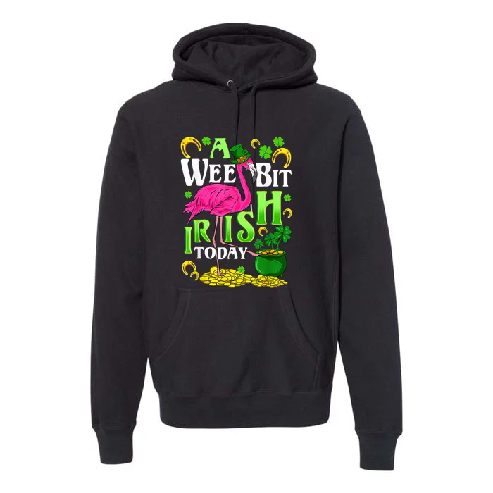 A Wee Bit Irish Today Flamingo Leprechaun St Patricks Day Premium Hoodie