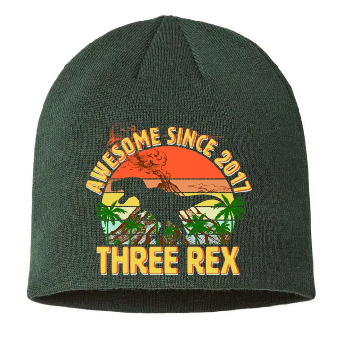 Awesome Since 2017 Tree Rex 3rd Birthday 8 1/2in Sustainable Knit Beanie