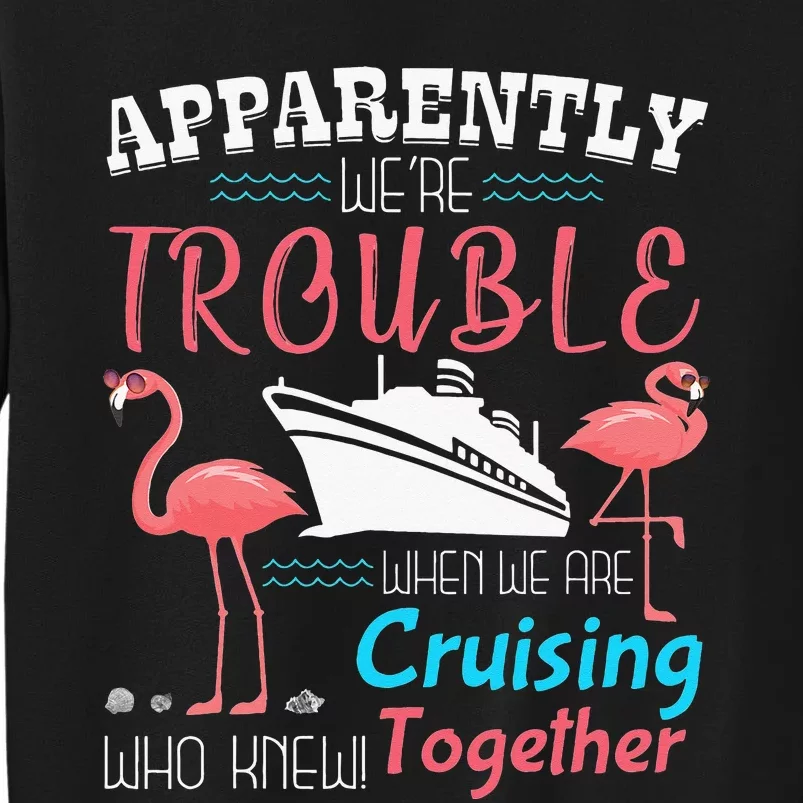 apparently we're trouble when we are cruising together Sweatshirt