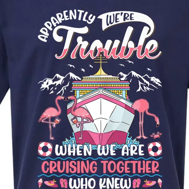 Apparently Were Trouble When We Are Cruising Together Sueded Cloud Jersey T-Shirt