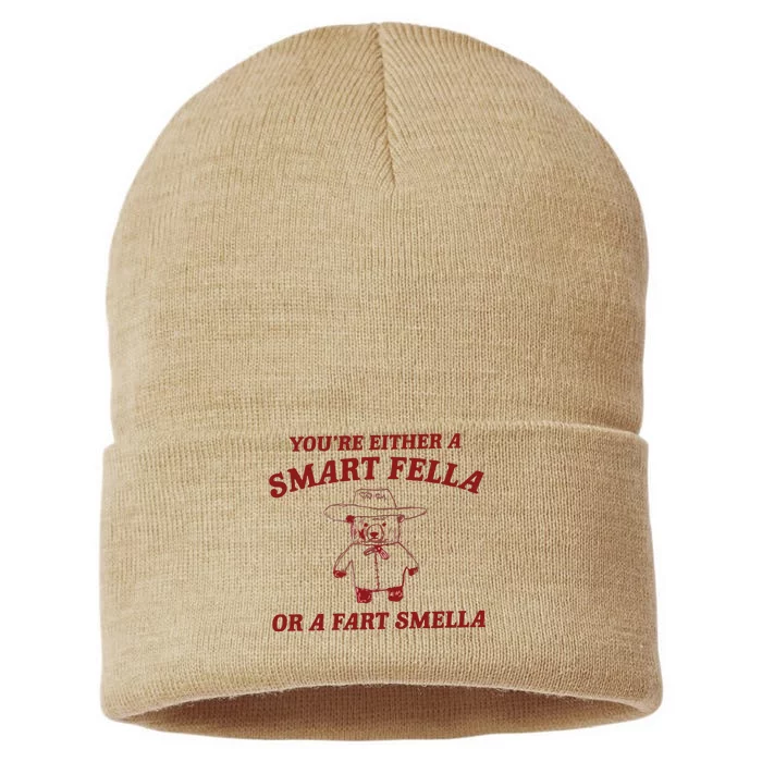 Are You A Smart Fella Or Fart Smella Sustainable Knit Beanie