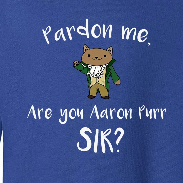 Are You Aaron Purr Sir? Funny Cat Gift Hooded Great Gift Toddler Sweatshirt