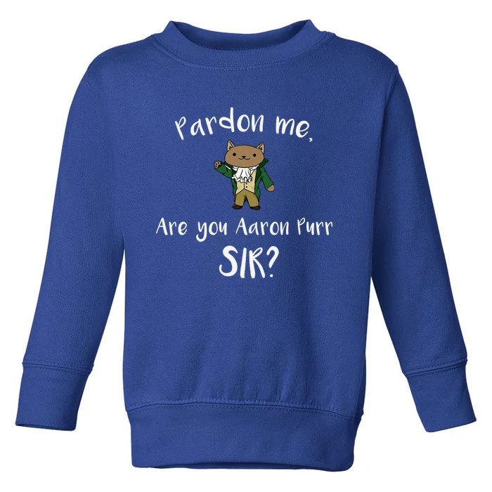 Are You Aaron Purr Sir? Funny Cat Gift Hooded Great Gift Toddler Sweatshirt