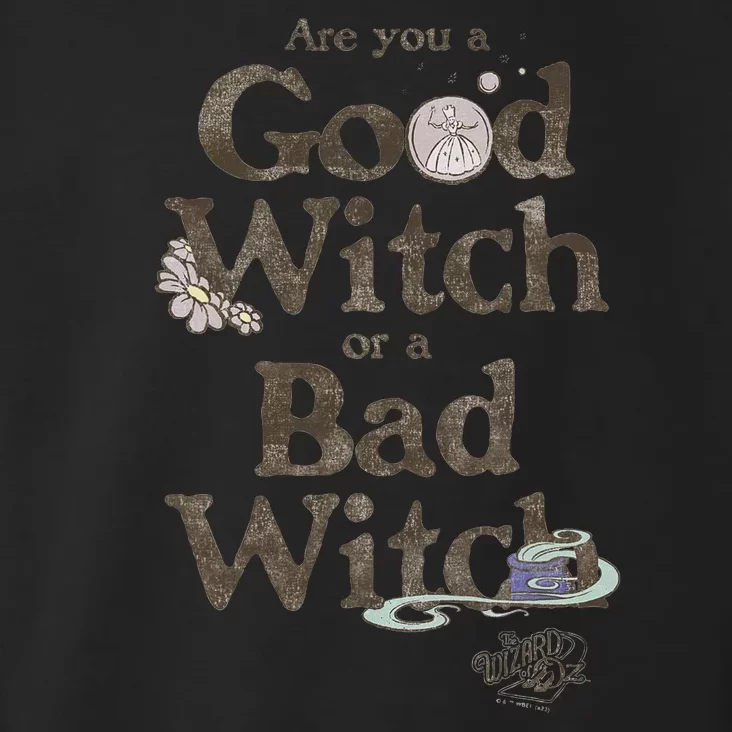 Are You A Good Witch Or Bad Witch Toddler Hoodie