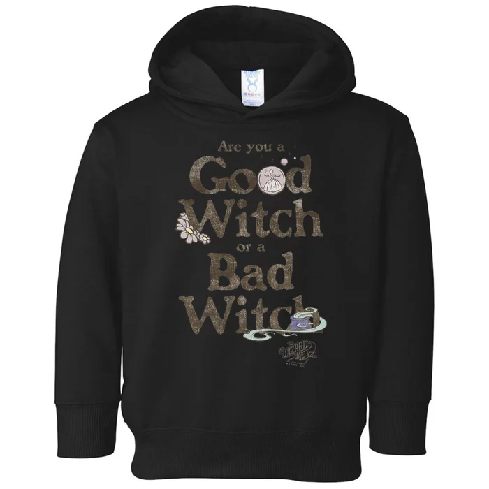 Are You A Good Witch Or Bad Witch Toddler Hoodie