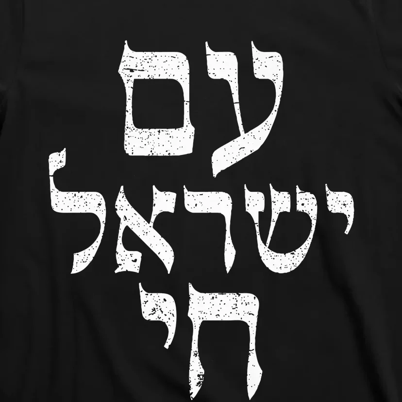 Am Yisrael Chai  Israel Hai Jewish Good Energy Distressed T-Shirt