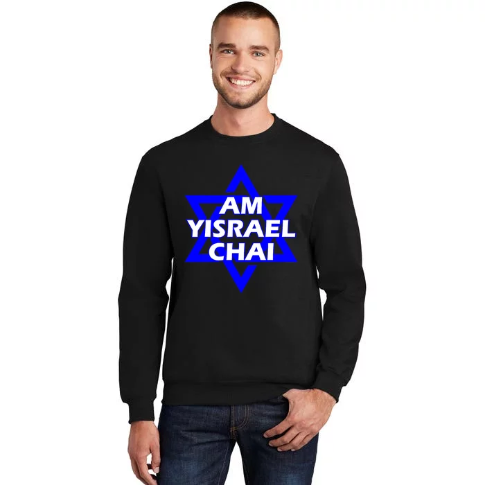 Am Yisrael Chai Israel Star Of David Sweatshirt