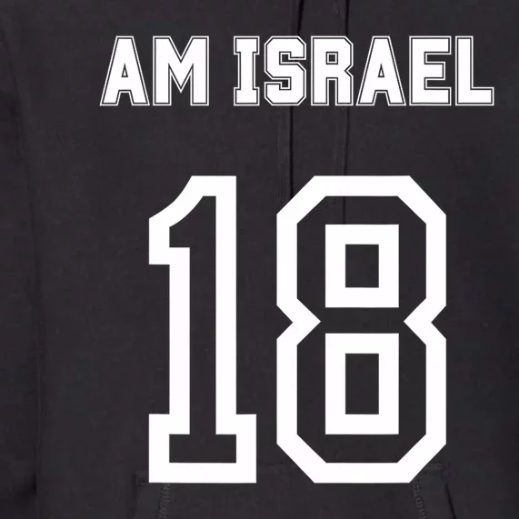 Am Yisrael Chai Israel 18 Jewish Magen David Hebrew Idf Premium Hoodie