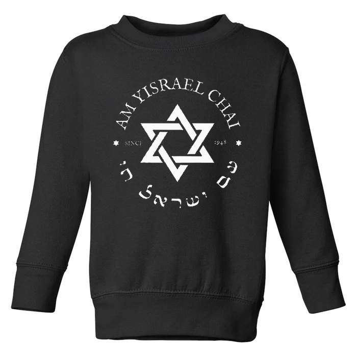 Am Yisrael Chai Israel 1948 Star Of David Hebrew Idf Jewish Toddler Sweatshirt