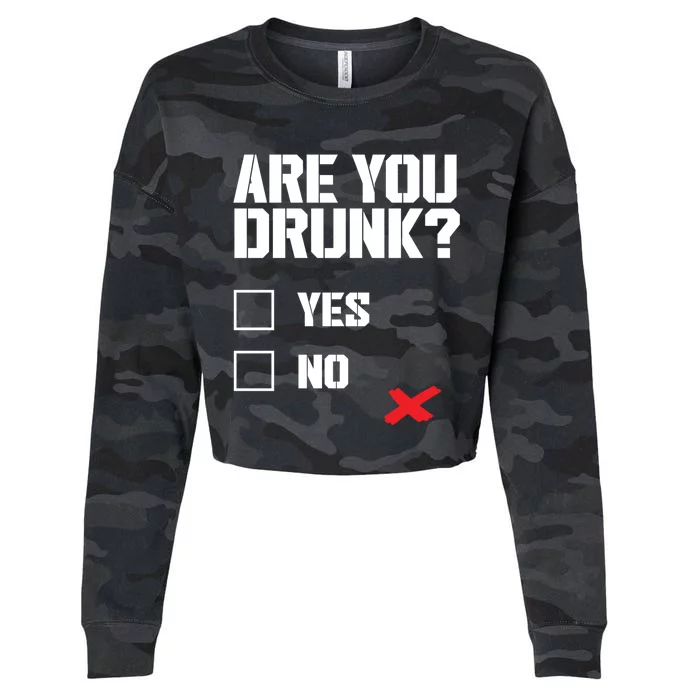 Are You Drunk Meme Perfect Lcohol Lover Gift Cool Gift Cropped Pullover Crew