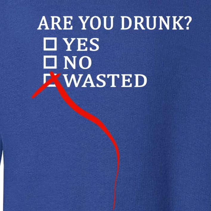 Are You Drunk Wasted Ing Funny Party Gift Great Gift Toddler Sweatshirt