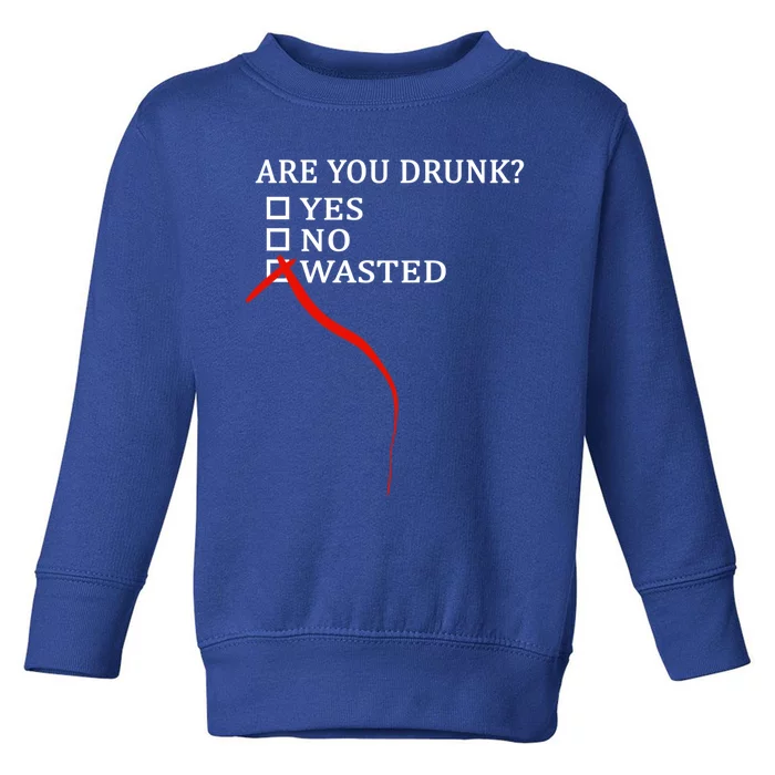 Are You Drunk Wasted Ing Funny Party Gift Great Gift Toddler Sweatshirt