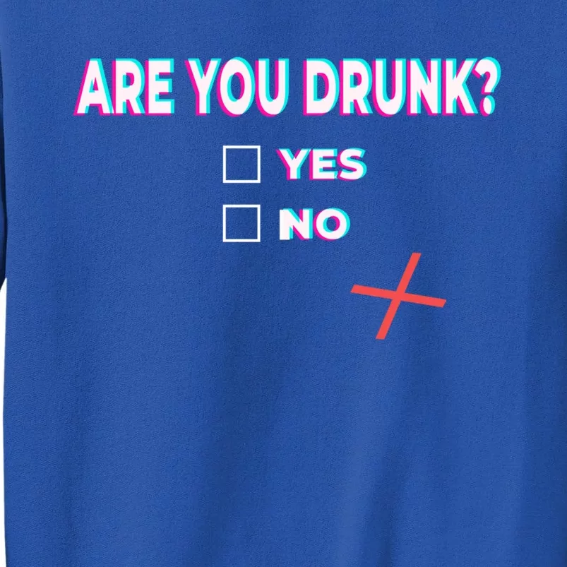 Are You Drunk? Great Gift Yes No Funny Ing Party Beer Humor Bar Gift Sweatshirt