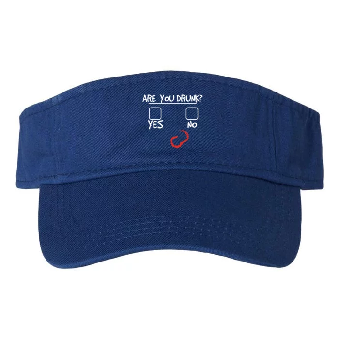 Are You Drunk? Yes Or No Funny Drunk Question Ing Gift Valucap Bio-Washed Visor