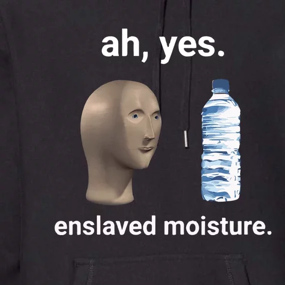 Ah Yes Enslaved Moisture Funny Dank Meme Premium Hoodie