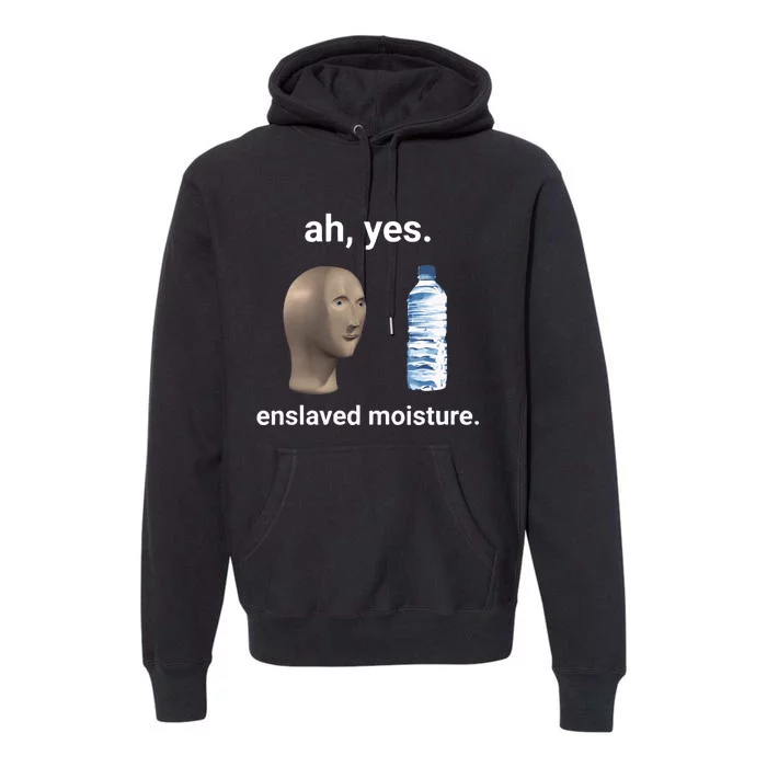 Ah Yes Enslaved Moisture Funny Dank Meme Premium Hoodie