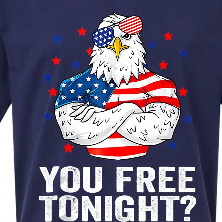 Are You Free Tonight 4th Of July Independence Day Bald Eagle Sueded Cloud Jersey T-Shirt