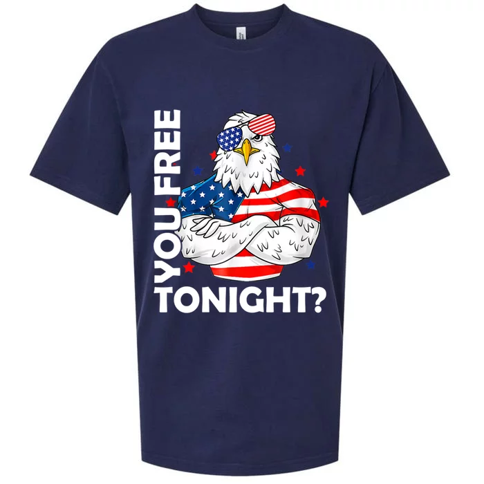 Are You Free Tonight 4th Of July Independence Day Bald Eagle Gift Sueded Cloud Jersey T-Shirt