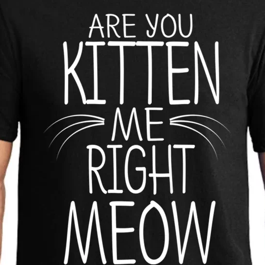 Are You Kitten Me Right Meow Funny Cat Joke Meaningful Gift Pajama Set