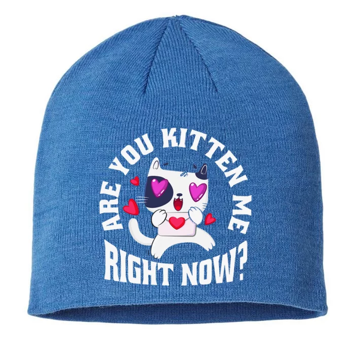 Are You Kitten Me Right Now Funny Cats 8 1/2in Sustainable Knit Beanie