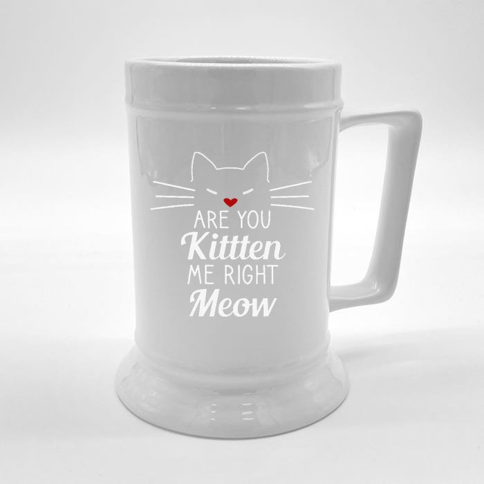 Are You Kitten Me Right Meow Funny Cat Design Front & Back Beer Stein