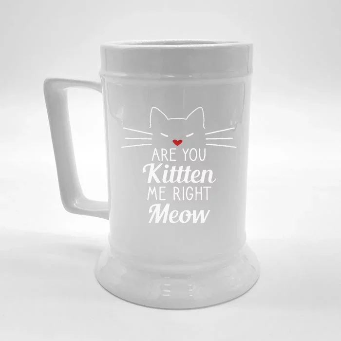 Are You Kitten Me Right Meow Funny Cat Design Front & Back Beer Stein