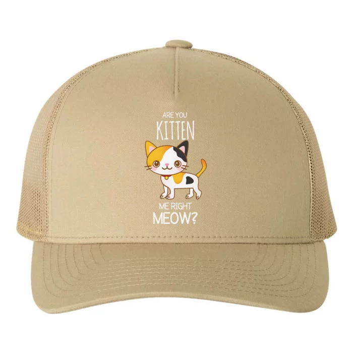 Are You Kitten Me Right Meow Funny Cat Kitty Lovers Yupoong Adult 5-Panel Trucker Hat