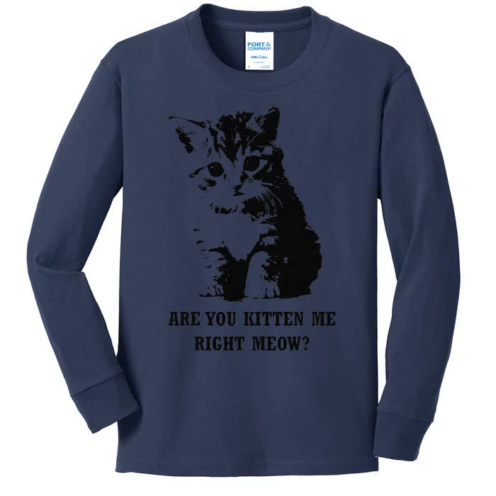 Are You Kitten Me Right Meow Kids Long Sleeve Shirt