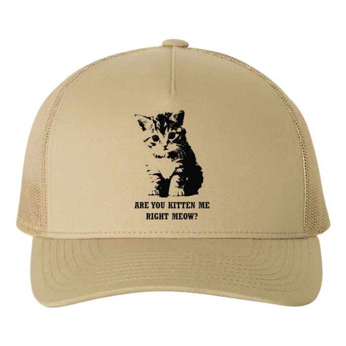 Are You Kitten Me Right Meow Yupoong Adult 5-Panel Trucker Hat