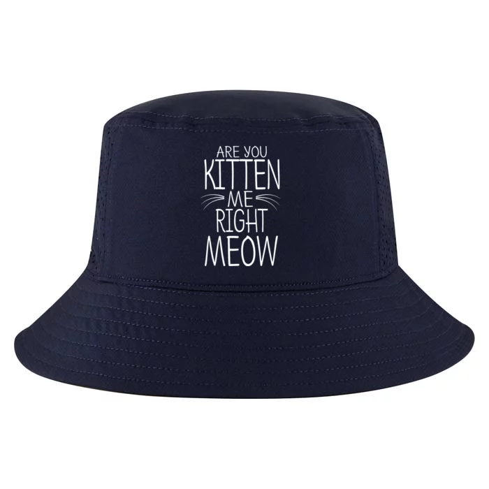 Are You Kitten Me Right Meow Funny Cat Joke Cool Comfort Performance Bucket Hat