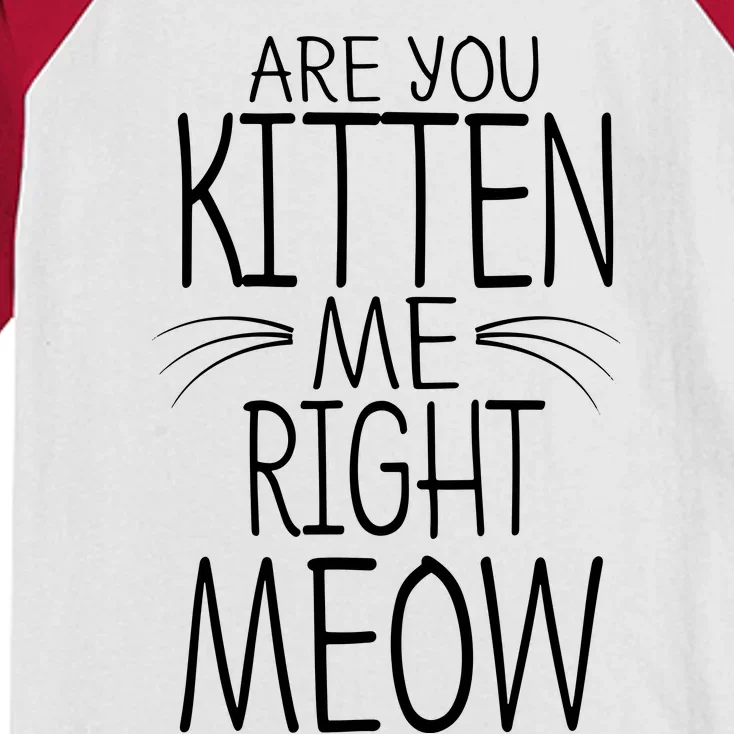 Are You Kitten Me Right Meow Funny Cat Joke Kids Colorblock Raglan Jersey