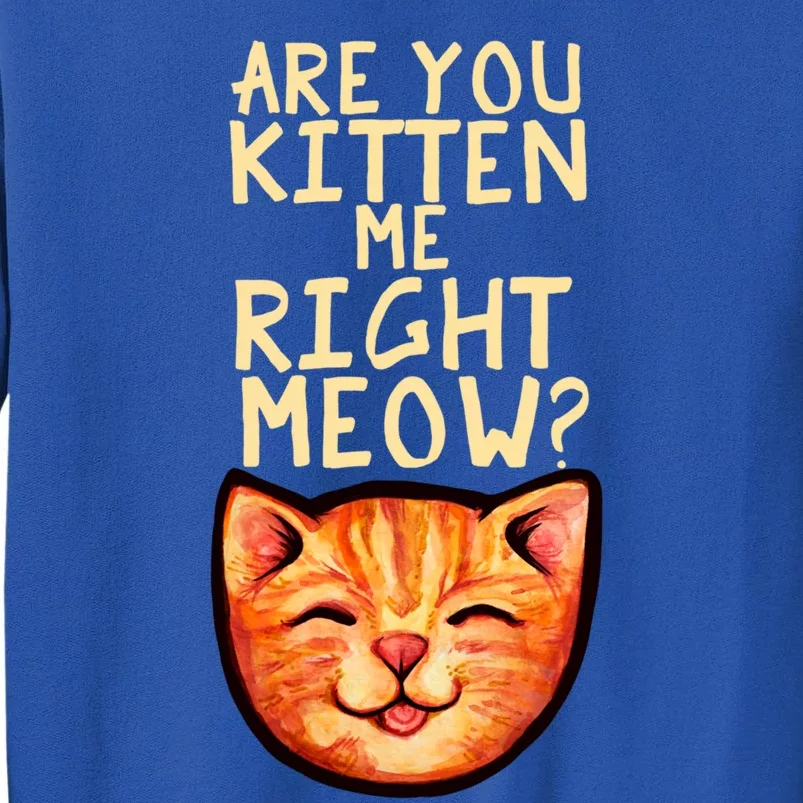 Are You Kitten Me Right Meowy Funny Orange Gift Tall Sweatshirt