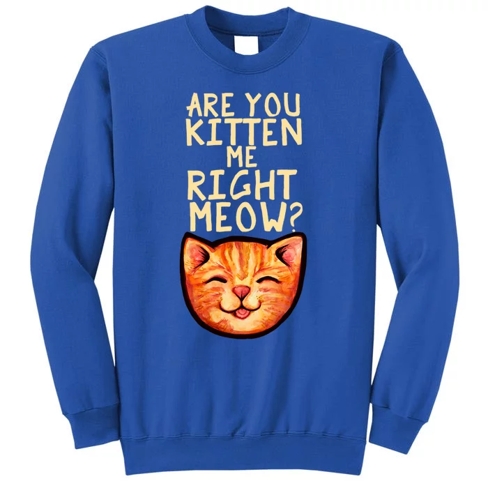 Are You Kitten Me Right Meowy Funny Orange Gift Tall Sweatshirt