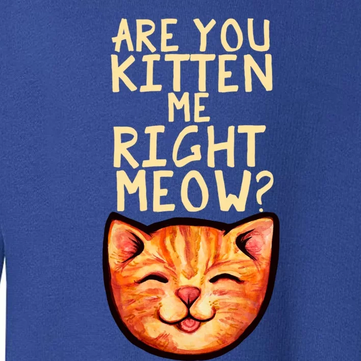 Are You Kitten Me Right Meowy Funny Orange Gift Toddler Sweatshirt