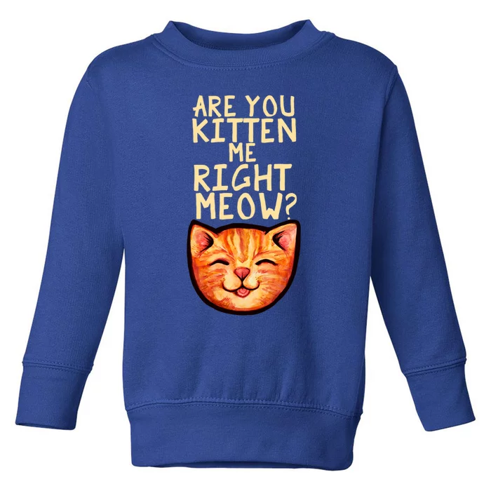 Are You Kitten Me Right Meowy Funny Orange Gift Toddler Sweatshirt