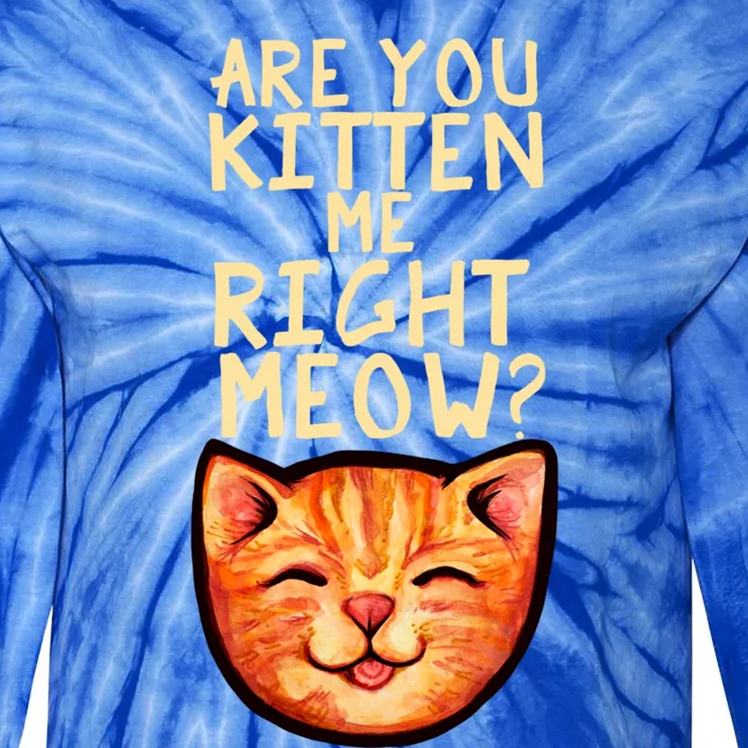 Are You Kitten Me Right Meowy Funny Orange Gift Tie-Dye Long Sleeve Shirt