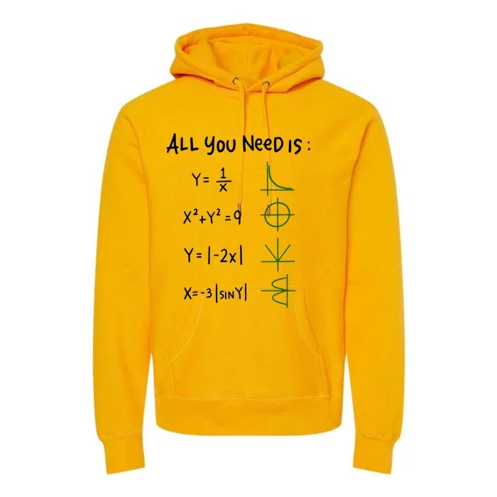 All You Need Is Love And Math Gift Premium Hoodie