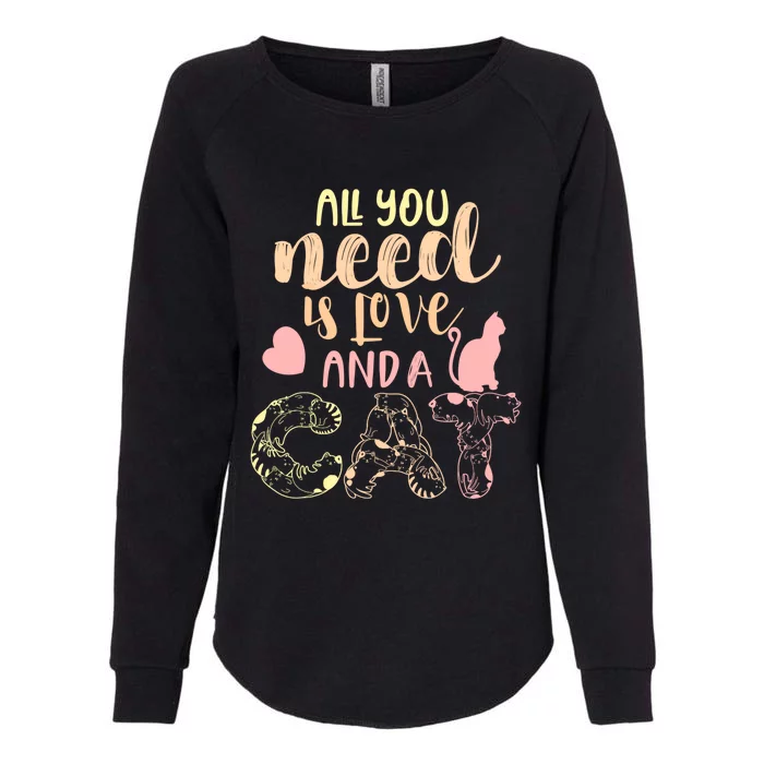 All You Need Is Love And A Cat Happy Cat Day Cat Lover Gift Womens California Wash Sweatshirt