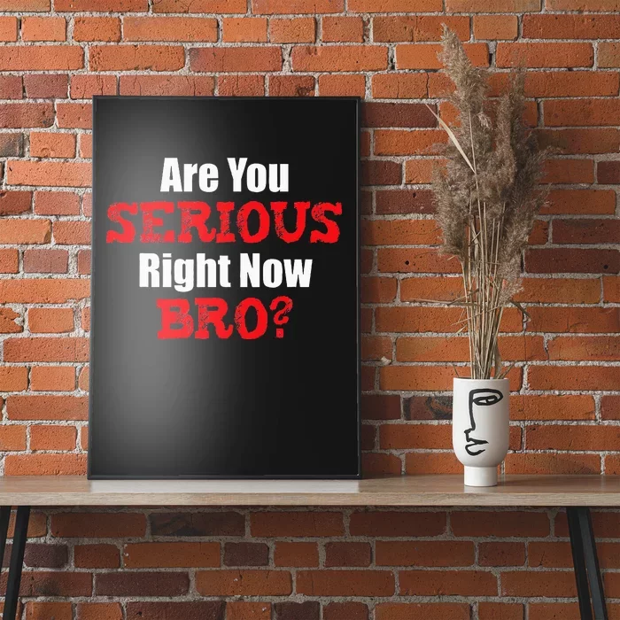 Are You Serious Right Now Bro Poster