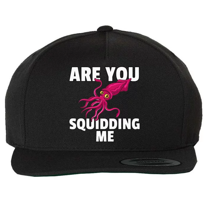 Are You Squidding Me Gift Squid Octopus Marine Biology Wool Snapback Cap