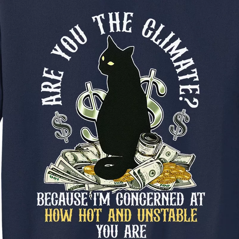 Are You The Climate Concerned How Hot Trendy Cat Quote Tall Sweatshirt