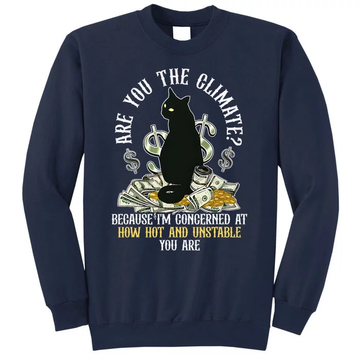 Are You The Climate Concerned How Hot Trendy Cat Quote Tall Sweatshirt