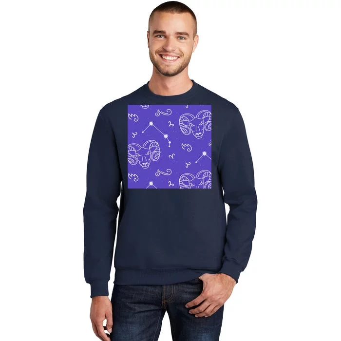 Aries Zodiac Astrology Sweatshirt